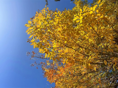 震卦详解_第27卦详解_水火既济卦详解