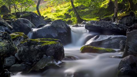 易经解卦_易经第十一卦详解_易经卦词讲解