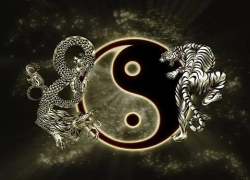 《周易》入门之十: 起源发展篇